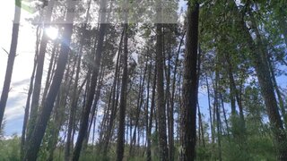 Terreno para venda em Castelo Branco, Portugal
