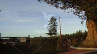 Land for sale in Coruche, Portugal — €72,000