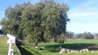 Land for sale in Penamacor, Portugal — €39,000