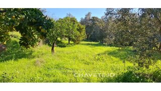 Land for sale in Tomar, Portugal — €49,500