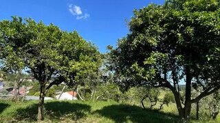 Terreno de 170 m² em Viseu