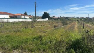 Land for sale in Benavente, Portugal — €85,000