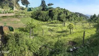 Land for sale in Viseu, Portugal — €25,000