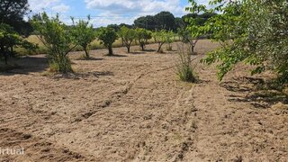 Terreno para venda em Coruche, Portugal — 85 000 €