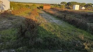 Land for sale in Coruche, Portugal — €35,000