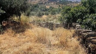 Land for sale in Sabugal, Portugal — €60,000