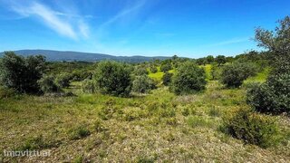 Land for sale in Torres Novas, Portugal — €12,500
