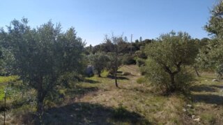Land for sale in Tomar, Portugal — €24,920