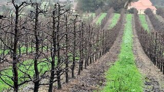 Land for sale in Ferreira do Zêzere, Portugal — €43,000