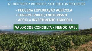 Land for sale in São João da Pesqueira, Portugal — €90,000