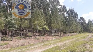 Terreno de 2265 m² em Ourém