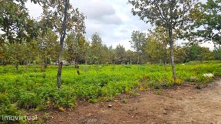 Terreno de 1300 m² em Viseu
