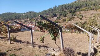 Land for sale in Tabuaço, Portugal — €18,000