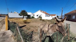 Land for sale in Golegã, Portugal — €45,000