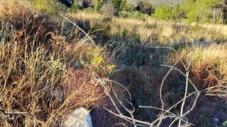 Terreno para venda em Tabuaço, Portugal — 30 000 €