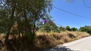 Land for sale in Torres Novas, Portugal — €30,000