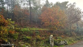 Land for sale in Viseu, Portugal — €55,000