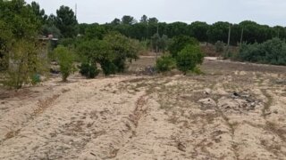 Land for sale in Alpiarça, Portugal — €136,000