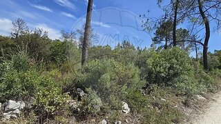 Land for sale in Torres Novas, Portugal — €1,350