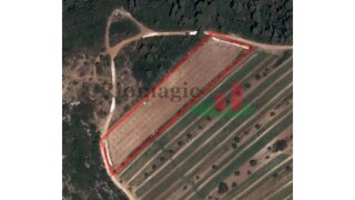 Land for sale in Rio Maior, Portugal — €25,000