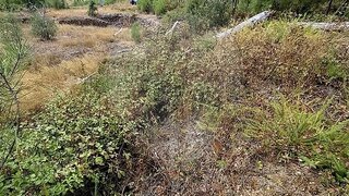 Land for sale in Mação, Portugal — €7,500
