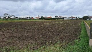 Land for sale in Salvaterra de Magos, Portugal — €99,500