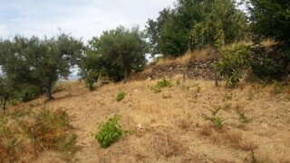 Terreno em Penedono