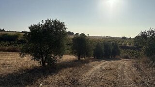 Terreno para venda em Cartaxo, Portugal — 25 000 €