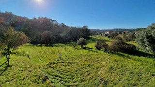 Terreno em Viseu · 10 000 m² · 50 000 €