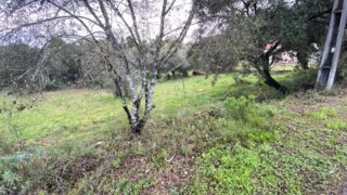 Land for sale in Tomar, Portugal — €18,500