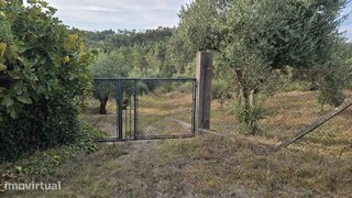 Land for sale in Tomar, Portugal — €70,000