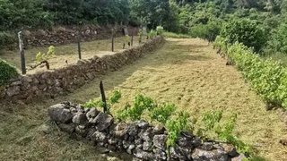 Land for sale in Tondela, Portugal — €17,000