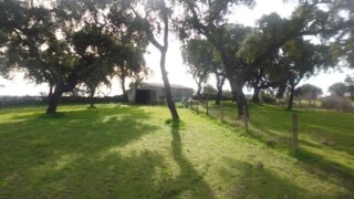 Land for sale in Castelo Branco, Portugal — €30,000