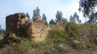 Land for sale in Tábua, Portugal — €20,000