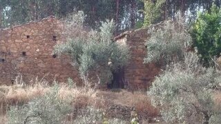Land for sale in Oleiros, Portugal — €80,000
