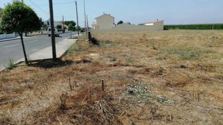 Land for sale in Golegã, Portugal — €27,000
