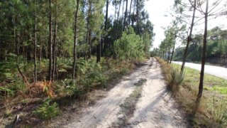 Terreno de 1400 m² em Viseu