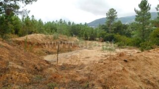 Land for sale in Nelas, Portugal — €39,950