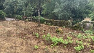 Land for sale in São Pedro do Sul, Portugal — €22,000