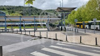 Land for sale in Oliveira de Frades, Portugal — €450,000