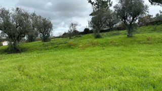 Terreno de 2539 m² em Viseu