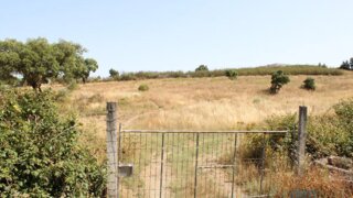 Terreno de 25 250 m² em Castelo Branco