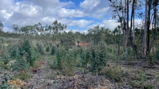 Terreno de 2680 m² em Santarém