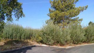 Terreno para venda em Abrantes, Portugal — 3200 €