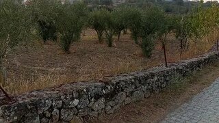 Land for sale in Guarda, Portugal — €40,000
