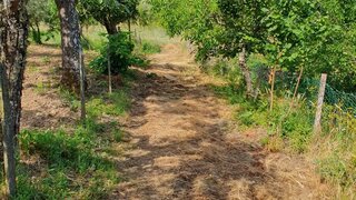 Terreno em Trancoso