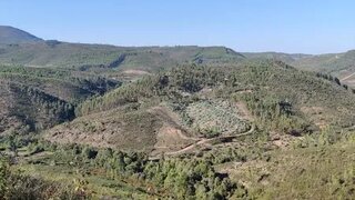 Land for sale in Mação, Portugal — €4,500