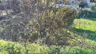Land for sale in Vila Velha de Ródão, Portugal — €15,000