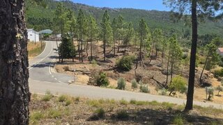 Terreno em Castelo Branco · 16 960 m² · 35 000 €