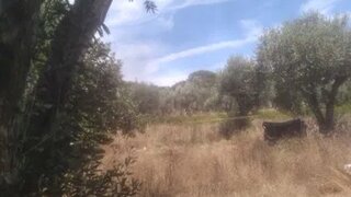 Land for sale in Tomar, Portugal — €35,000
